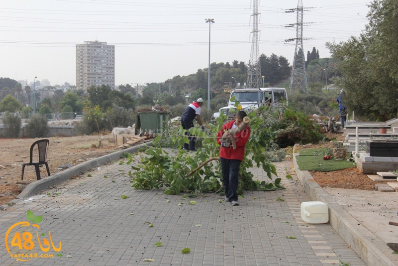 tasoooi3i1412 (43).JPG